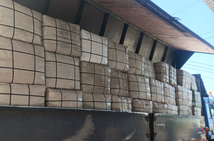 BNN Gagalkan Penyelundupan 3,37 Ton Ganja Diduga dari Thailand, Libatkan Jaringan Lintas Negara