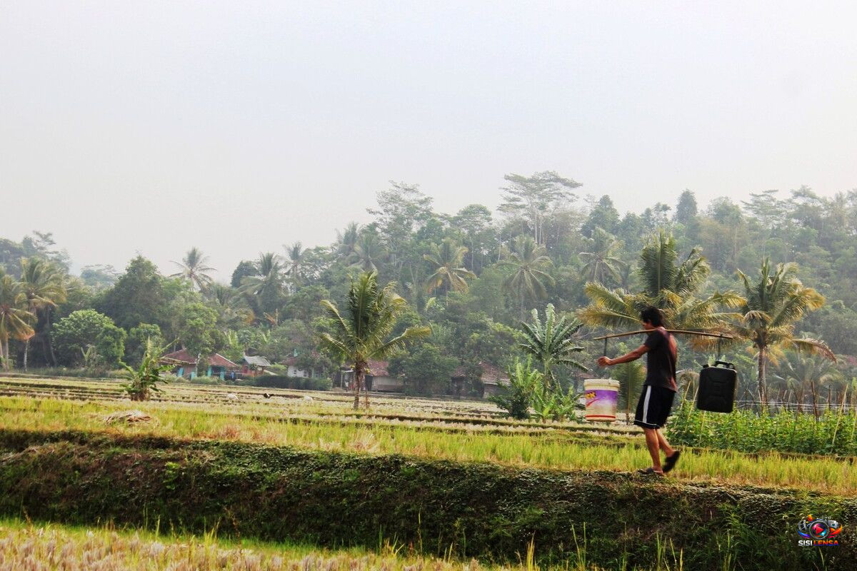 Kemarau Picu Krisis Air Bersih di Cianjur, Warga Rela Rogoh Kocek Rp900 Ribu per Bulan hingga Memilih Pindah Rumah