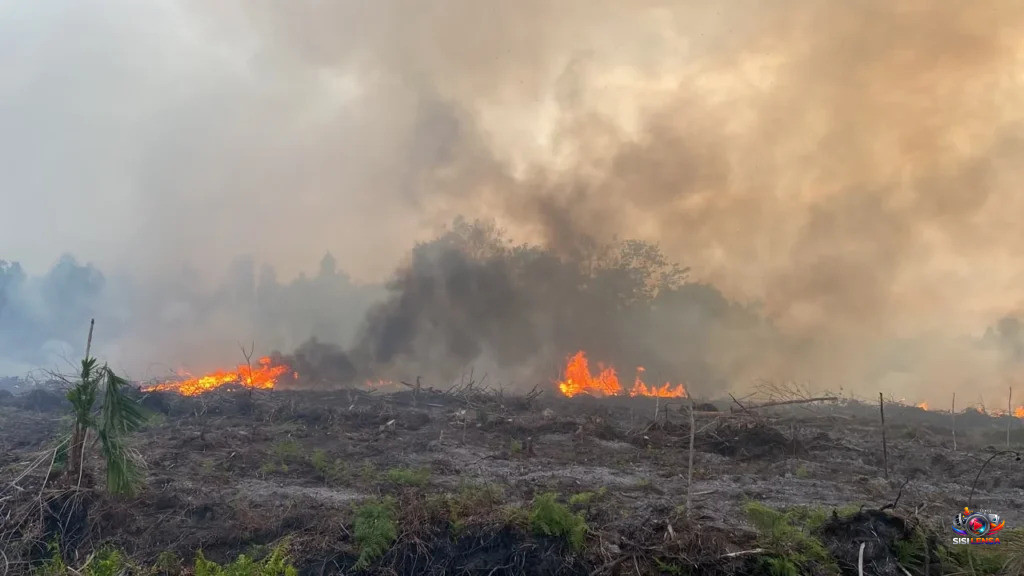 Karhutla Kalimantan Makin Meluas, DPR Desak Pemerintah Ambil Langkah Extraordinary