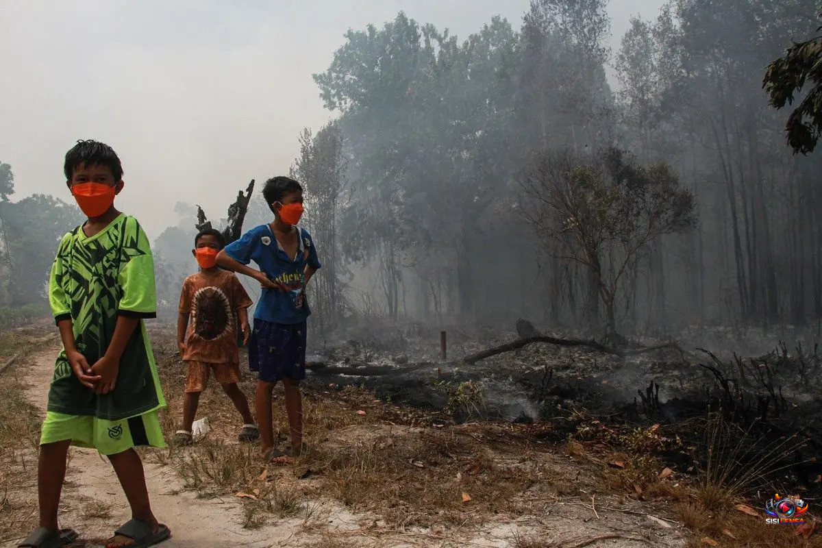 Asap Karhutla Indonesia Tembus Malaysia, Sekolah di Sarawak Ditutup Dua Hari