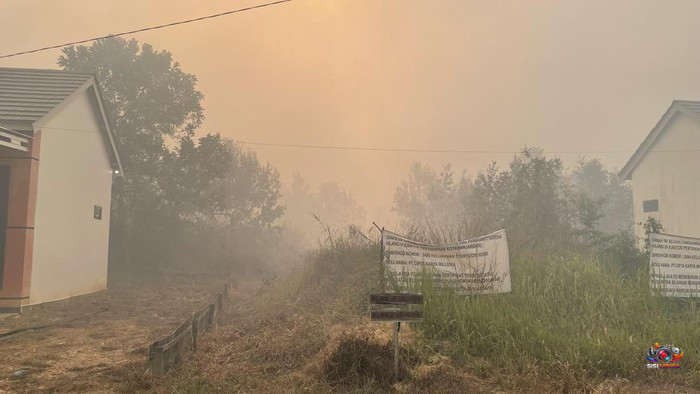 Lebih dari 3 Juta Warga Terpapar Kabut Asap Karhutla, Kasus ISPA Melonjak di Kalimantan