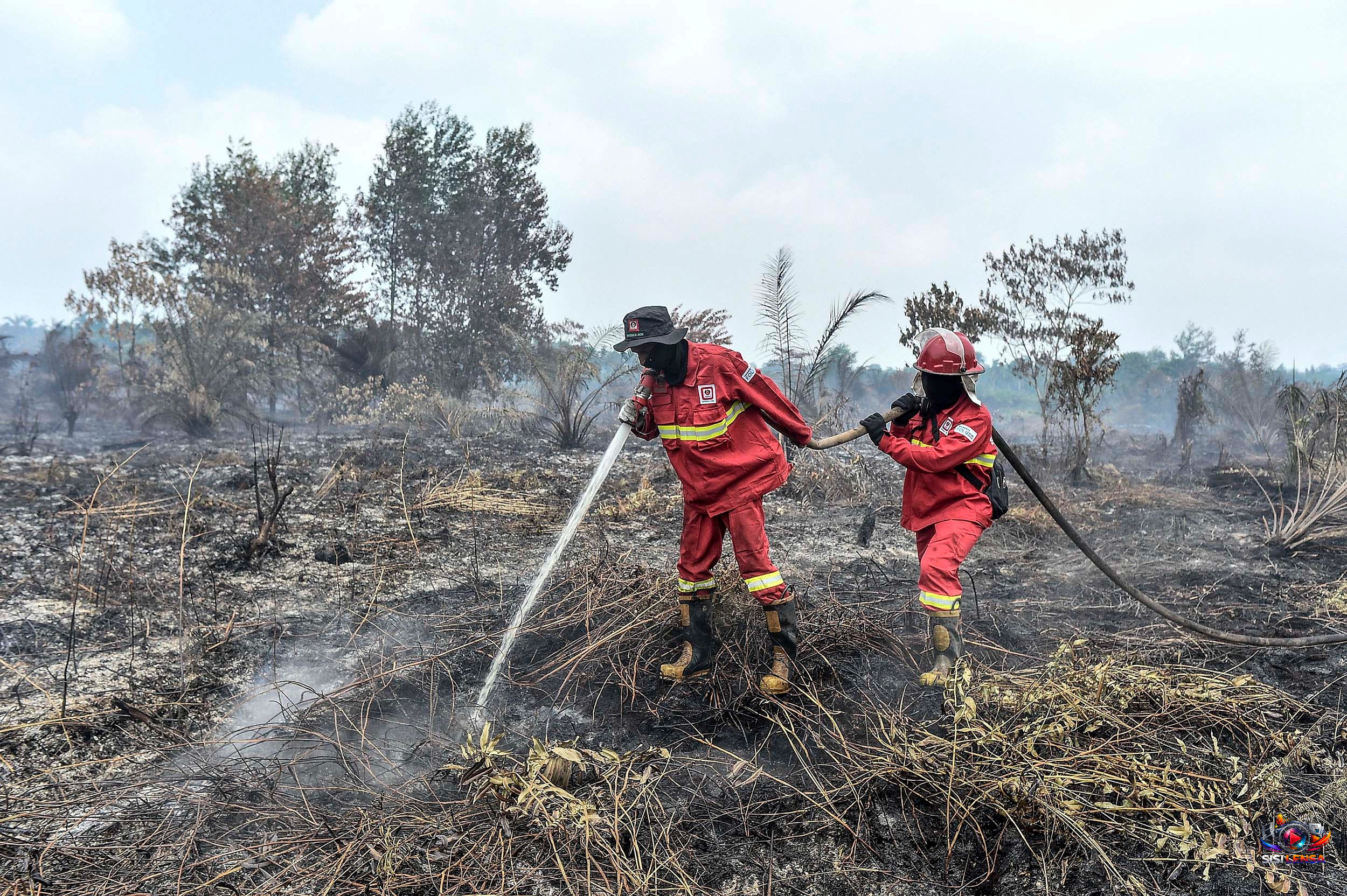 Warga Sumsel Bisa Jadi Pasukan Satgas Karhutla, Dapat Uang Semangat Rp150 Ribu per Hari