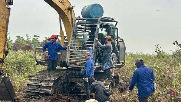 Lahan Bekas Karhutla di Ketapang Disegel, Kementerian Kehutanan Temukan Aktivitas Sawit dan Alat Berat