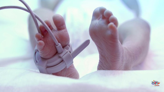 IDAI Ingatkan Bahaya Telur Mentah usai Bayi Alena Meninggal di Surabaya
